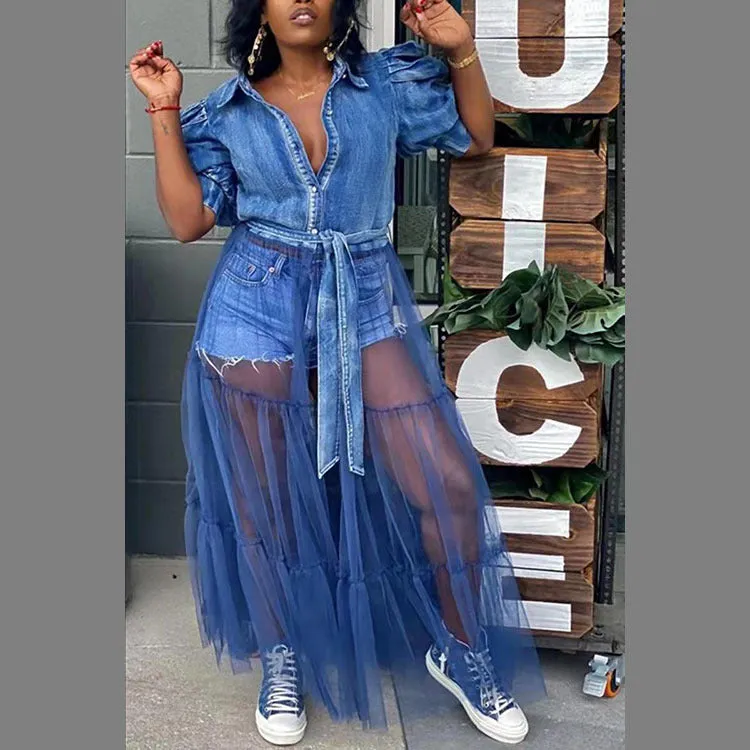 Plus Size Denim Dress